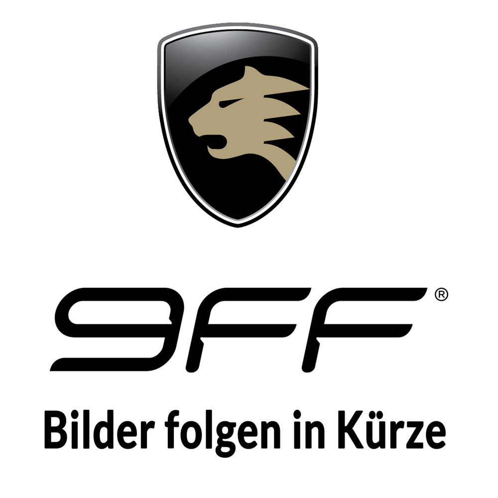 9FF Sport clutch for DQ380 / DQ381